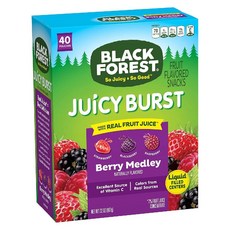 Black Forest Fruit Snacks Juicy Burst Berry Medley 블랙 포레스트 과일젤리 베리 메들리 22g 40개, 기본