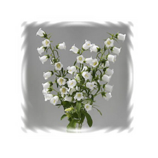 6b9cab21c044ded845513ee03ce4f69f43a8a3d3e50be6ec4668052dca20.png