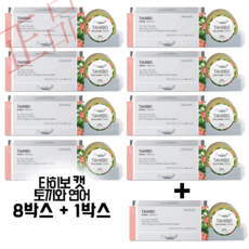 시그니처바이고양이