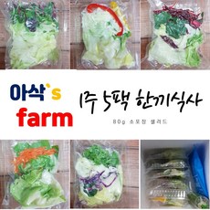 아삭팜 하루한끼 80g 5팩 샐러드야채 브런치 간편아침 소포장 도시락샐러드