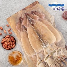 [바다원] 동해안 마른오징어 10미 (600g) 중형_국내산_냉동, 1개
