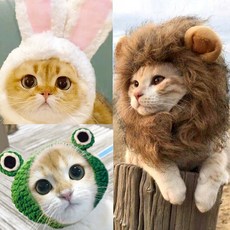 라이언개구리