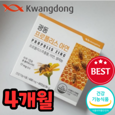 비염에좋은영양제