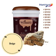 일라이트페인트