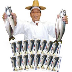 가시없는고등어