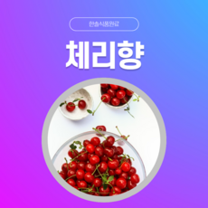 냉동체리5kg