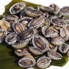 바다속풍경
