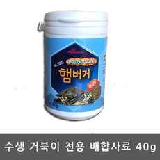 아기거북이가방