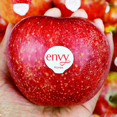  사과유명한곳 envy사과 햇 엔비사과 주먹크기, 1박스, 5kg 