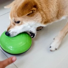 //상품명
