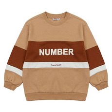 시몬스소이화이버