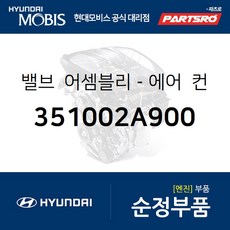 뉴카렌스인젝터