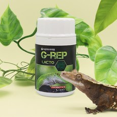 녹십자 장건강 G-REP 락토, 1개