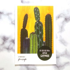 새한글성경 TOP01