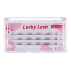 엘스몰럭키래쉬