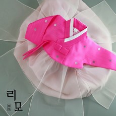 한복갈래치마