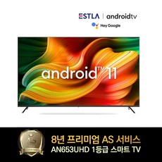 이스트라tv