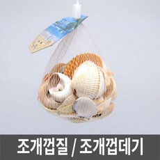 조개껍데기교구