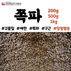 예천쪽파씨