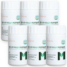 미슬토 추출물 95% 겨우살이 진액 국내산 참나무 식약청 HACCP 인증 자주가게, 6개, 60정