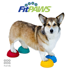 fitpaws