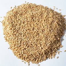 하선사료 하선사료 멸균 깐귀리 / 반려조 멸균식품 개별알곡 새모이 간식, 비멸균 깐귀리 400g