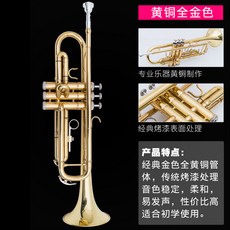퓨어제이드스톤 초보 입시 트럼펫 악기 밴드 서양악기 교회 연주 교습 3음 B조, 금빛의, 1개
