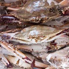연평도 급냉 숫꽃게 2.1kg 8미/마리당 250~270g, 1개