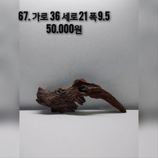 맹그로브유목 테라리움유목 비바리움유목 대형유목 파충류 은신처 수초활착유목 새우 먹이 새우은신처 어항 레이아웃 목부작 어항꾸미기 솟대 횃대, 1개