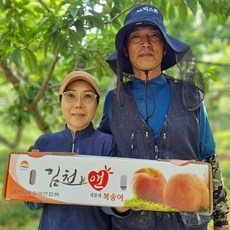 김천 산지직송 대극천복숭아 2.5kg, 1개
