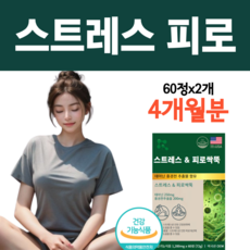 스트레스 긴장완화 피로회복 개선 도움 식약청 인증 홍경천 테아닌 로사빈 수험생 공시생 직장인 theanine rhodiola rosea L 미국산, 2개, 60정