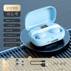 애플인이어