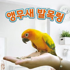 앵무새 발목링 리드줄 초경량 발목줄 비행훈련(8종), 11호