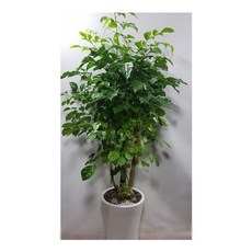 4b610799e3206a73a362d35e29084e715fb43a9849d56fe9a590892b76a3.jpg