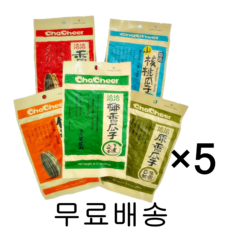 챠챠 260g 견과류 중국간식 차차 해바라기씨 260g/5개, 카라멜맛(오랜지), 5개