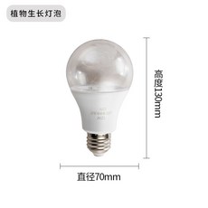 일반led조명으로식물키우기