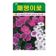 패랭이꽃 씨앗 (합 3000립) 꽃씨 꽃 종자, 2개