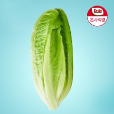 [돌] [Dole 본사직영] 알뜰형 로메인 1kg, 1개