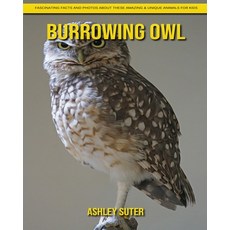 Burrowing Owl: Fascinating Facts and Photos about These Amazing & Unique Animals for Kids Paperback, Independently Published