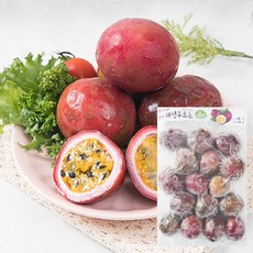 에스티로더패션프루트