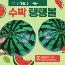 수박모양비치볼