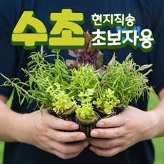 9f9066070ddf03788ba444fdece4959efde98cd67165612bcf586d633a4e.jpg
