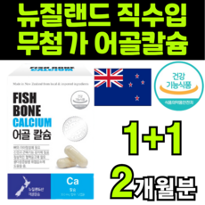 다다랜드플라잉노바