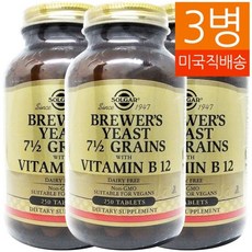 추천4솔가맥주효모