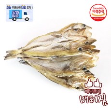 (배터짐) 업소용 반건조 노가리 조미노가리, 1개, 10kg