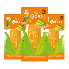 바로드숑 꿀맛 찰옥수수 3팩, 250g, 3개