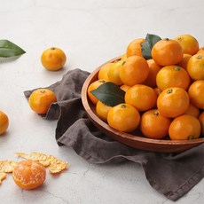블루제주솝