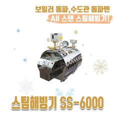 뉴스노우맨 올스텐 고압 스팀해빙기 SS-6000, 본체+호스, 1개