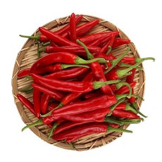 22년홍고추가격