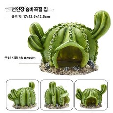 조이앨빈 도마뱀집꾸미기 크레스티드게코 집꾸미기, 1개, 선인장 피하는 집